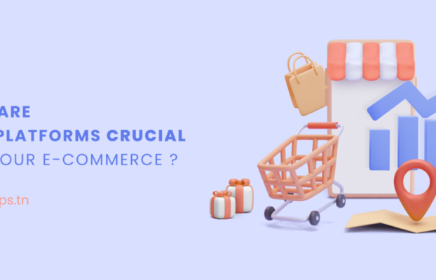 Pourquoi les plateformes CMS sont-elles cruciales pour votre commerce électronique ?